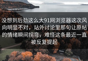 没想到后劲这么大91网浏览器这次风向明显不对，站外讨论里那句让原帖的情绪瞬间拐弯，难怪这条最近一直被反复提起