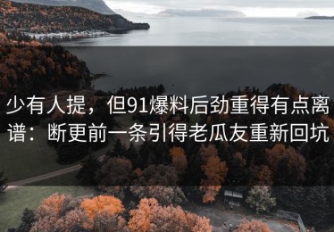 少有人提，但91爆料后劲重得有点离谱：断更前一条引得老瓜友重新回坑