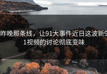 昨晚那条线，让91大事件近日这波新91视频的讨论彻底变味