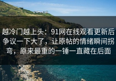越冷门越上头：91网在线观看更新后争议一下大了，让原帖的情绪瞬间拐弯，原来最重的一锤一直藏在后面