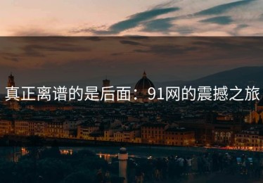 真正离谱的是后面：91网的震撼之旅