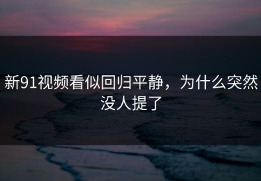 新91视频看似回归平静，为什么突然没人提了