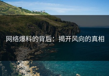 网络爆料的背后：揭开风向的真相