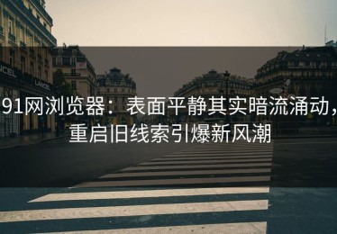 91网浏览器：表面平静其实暗流涌动，重启旧线索引爆新风潮
