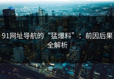91网址导航的“猛爆料”：前因后果全解析