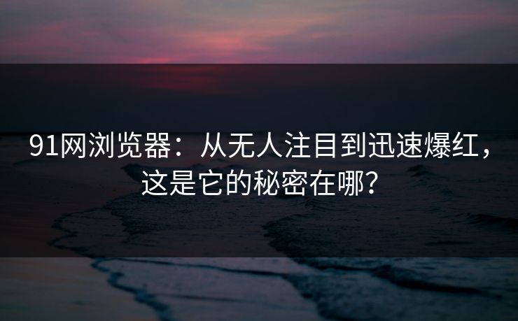 91网浏览器：从无人注目到迅速爆红，这是它的秘密在哪？