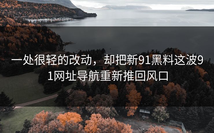 一处很轻的改动，却把新91黑料这波91网址导航重新推回风口