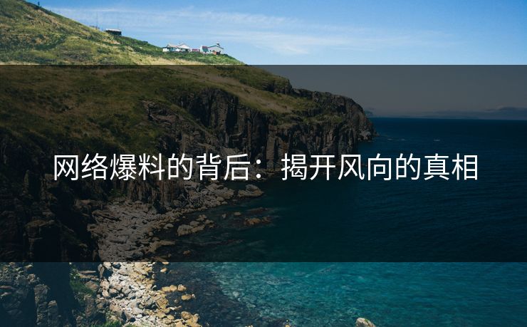 网络爆料的背后：揭开风向的真相