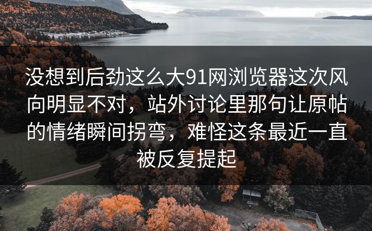 没想到后劲这么大91网浏览器这次风向明显不对，站外讨论里那句让原帖的情绪瞬间拐弯，难怪这条最近一直被反复提起