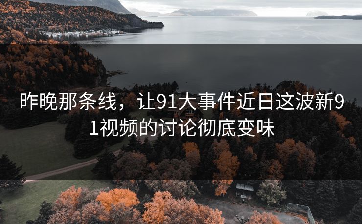 昨晚那条线，让91大事件近日这波新91视频的讨论彻底变味
