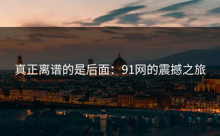 真正离谱的是后面：91网的震撼之旅