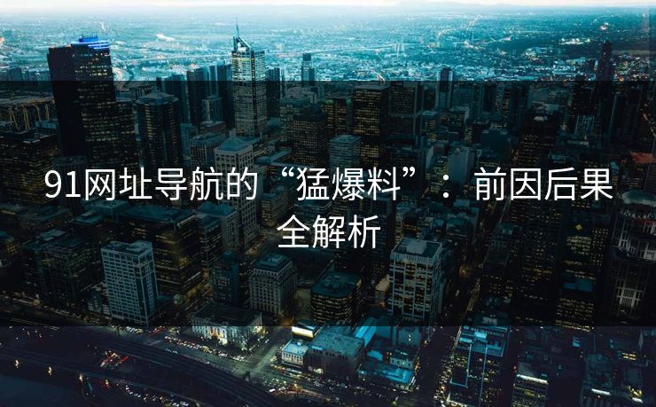 91网址导航的“猛爆料”：前因后果全解析