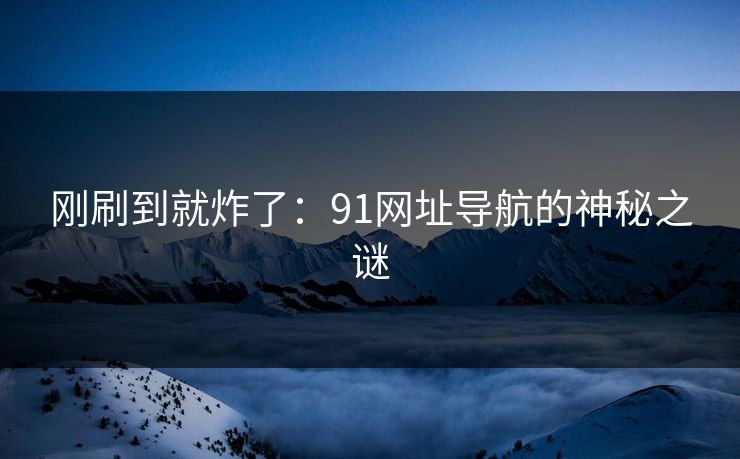 刚刷到就炸了：91网址导航的神秘之谜