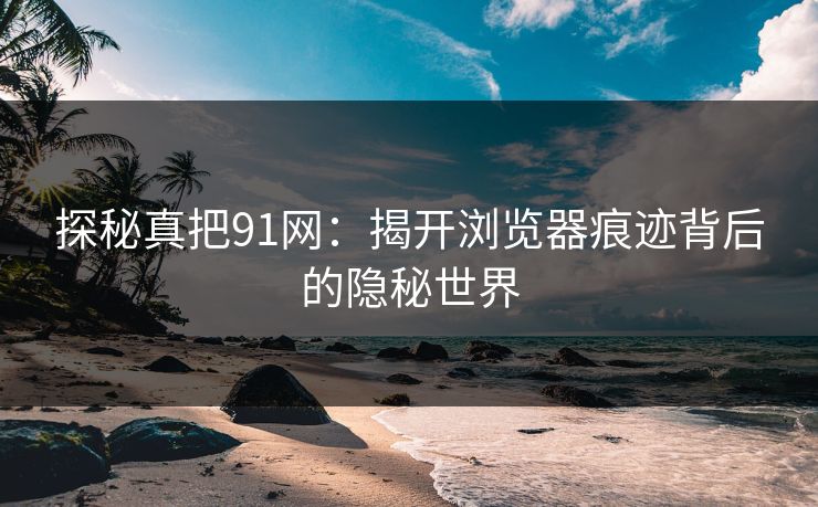 探秘真把91网：揭开浏览器痕迹背后的隐秘世界