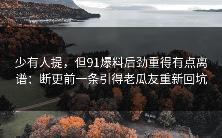 少有人提，但91爆料后劲重得有点离谱：断更前一条引得老瓜友重新回坑