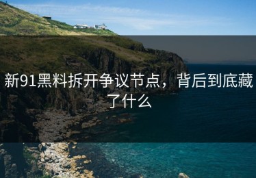 新91黑料拆开争议节点，背后到底藏了什么