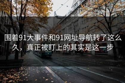围着91大事件和91网址导航转了这么久，真正被盯上的其实是这一步
