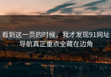看到这一页的时候，我才发现91网址导航真正重点全藏在边角