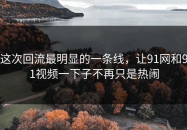 这次回流最明显的一条线，让91网和91视频一下子不再只是热闹