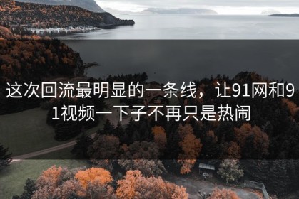 这次回流最明显的一条线，让91网和91视频一下子不再只是热闹