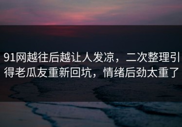 91网越往后越让人发凉，二次整理引得老瓜友重新回坑，情绪后劲太重了
