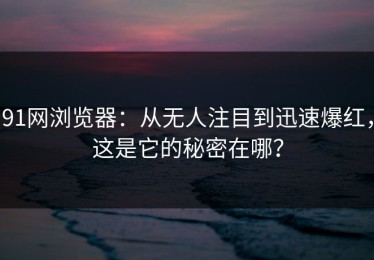 91网浏览器：从无人注目到迅速爆红，这是它的秘密在哪？