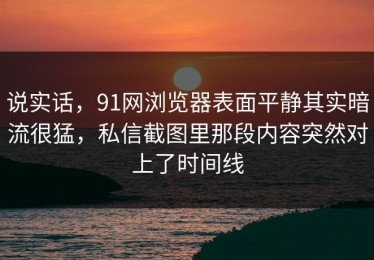 说实话，91网浏览器表面平静其实暗流很猛，私信截图里那段内容突然对上了时间线