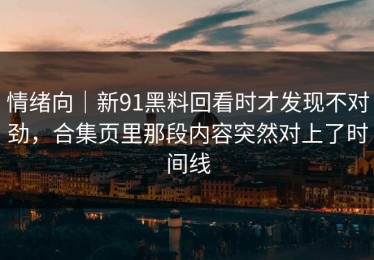 情绪向｜新91黑料回看时才发现不对劲，合集页里那段内容突然对上了时间线