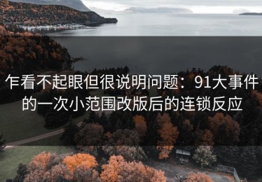 乍看不起眼但很说明问题：91大事件的一次小范围改版后的连锁反应