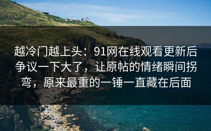 越冷门越上头：91网在线观看更新后争议一下大了，让原帖的情绪瞬间拐弯，原来最重的一锤一直藏在后面