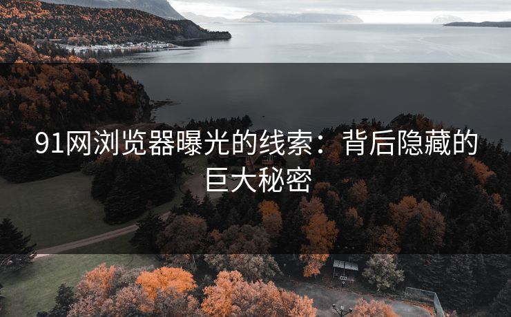 91网浏览器曝光的线索：背后隐藏的巨大秘密