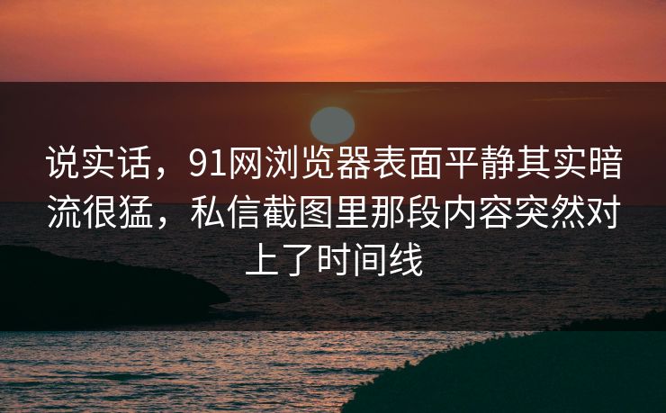 说实话，91网浏览器表面平静其实暗流很猛，私信截图里那段内容突然对上了时间线