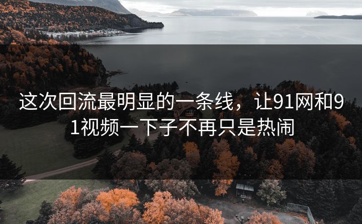 这次回流最明显的一条线，让91网和91视频一下子不再只是热闹