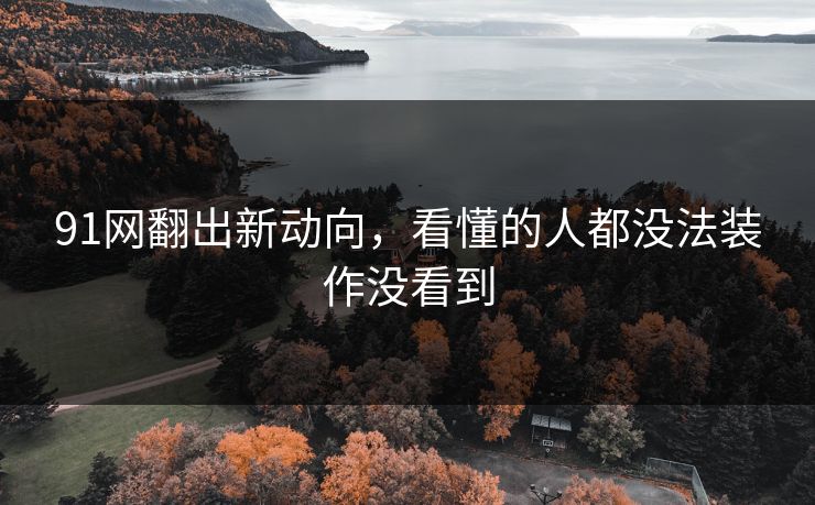 91网翻出新动向,看懂的人都没法装作没看到 91网翻出新动向,看懂的人都没法装作没看到